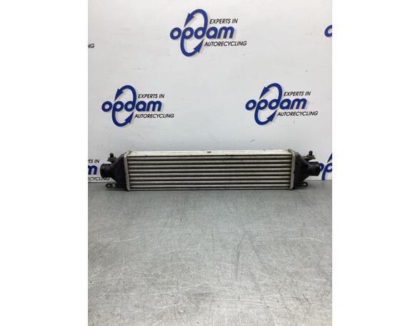 Intercooler FIAT DOBLO Cargo (263_), FIAT DOBLO MPV (263_)