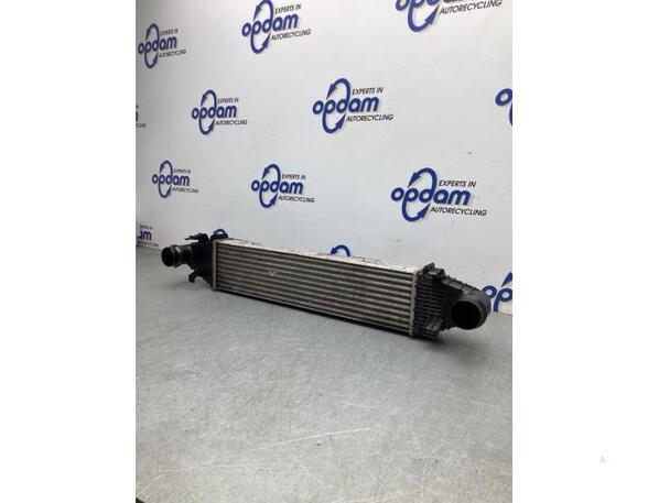 Intercooler MERCEDES-BENZ C-CLASS T-Model (S204)