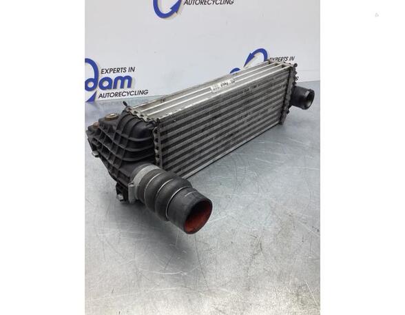 Intercooler FORD TRANSIT CONNECT (P65_, P70_, P80_)