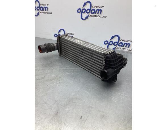 Intercooler FORD TRANSIT CONNECT (P65_, P70_, P80_)