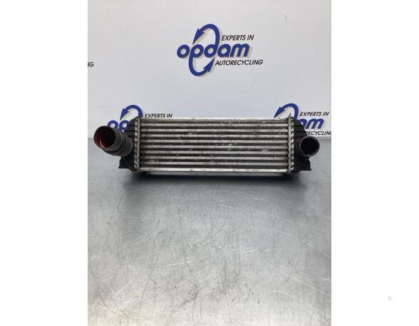 Intercooler FORD TRANSIT CONNECT (P65_, P70_, P80_)