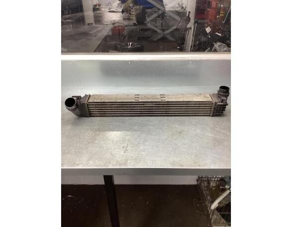 Intercooler RENAULT SCÉNIC III (JZ0/1_), RENAULT GRAND SCÉNIC III (JZ0/1_)