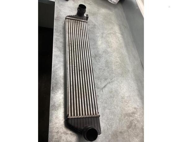 Intercooler OPEL MOVANO B Bus (X62), OPEL MOVANO B Van (X62)