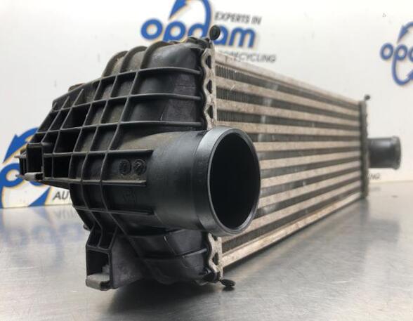 Intercooler FORD TRANSIT CONNECT (P65_, P70_, P80_)