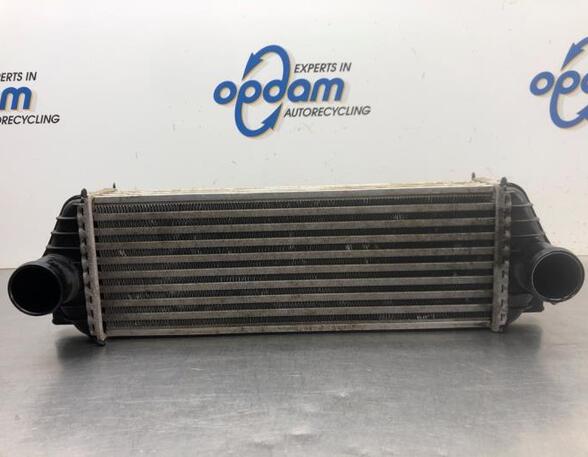 Intercooler FORD TRANSIT CONNECT (P65_, P70_, P80_)