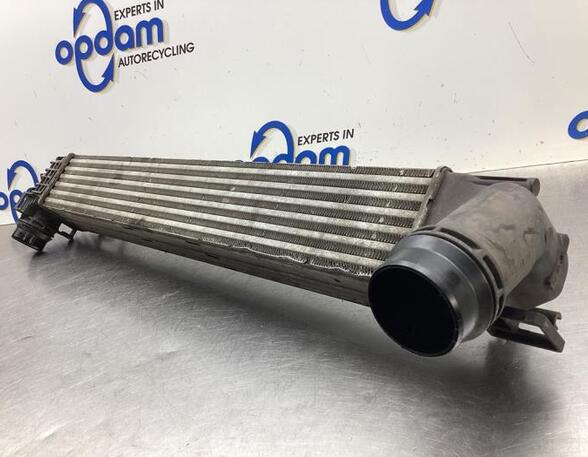 Intercooler RENAULT SCÉNIC III (JZ0/1_), RENAULT GRAND SCÉNIC III (JZ0/1_)