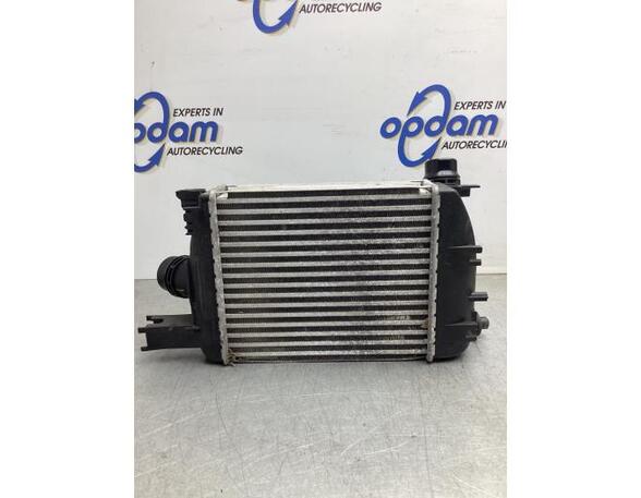 Intercooler DACIA DOKKER MPV (KE_), DACIA LODGY (JS_)