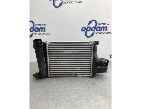 Intercooler DACIA DOKKER MPV (KE_), DACIA LODGY (JS_)