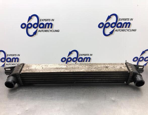 Intercooler CITROËN NEMO Van (AA_), FIAT FIORINO Box Body/MPV (225_), FIAT QUBO (225_)