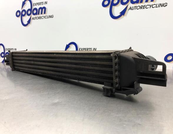 Intercooler CITROËN NEMO Van (AA_), FIAT FIORINO Box Body/MPV (225_), FIAT QUBO (225_)