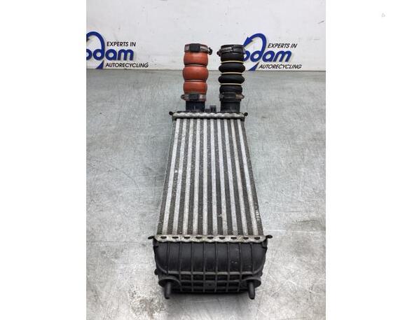 Intercooler CITROËN C3 II (SC_), CITROËN C3 III (SX)