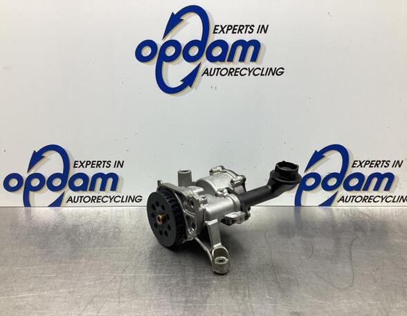 Oil Pump VW GOLF VII (5G1, BQ1, BE1, BE2)