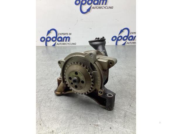 Oil Pump AUDI A3 (8P1), AUDI A3 Sportback (8PA)