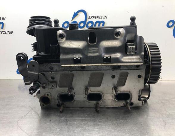 Cylinder Head SKODA FABIA II Combi (545), SKODA ROOMSTER Praktik (5J), VW POLO (6R1, 6C1), VW POLO Van (6R)