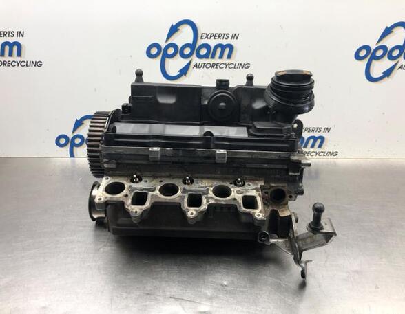 Cylinder Head SKODA FABIA II Combi (545), SKODA ROOMSTER Praktik (5J), VW POLO (6R1, 6C1), VW POLO Van (6R)