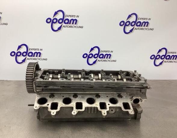 Cylinder Head VW POLO (6R1, 6C1)