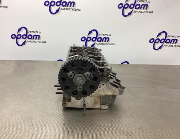 Cylinder Head VW POLO (6R1, 6C1)