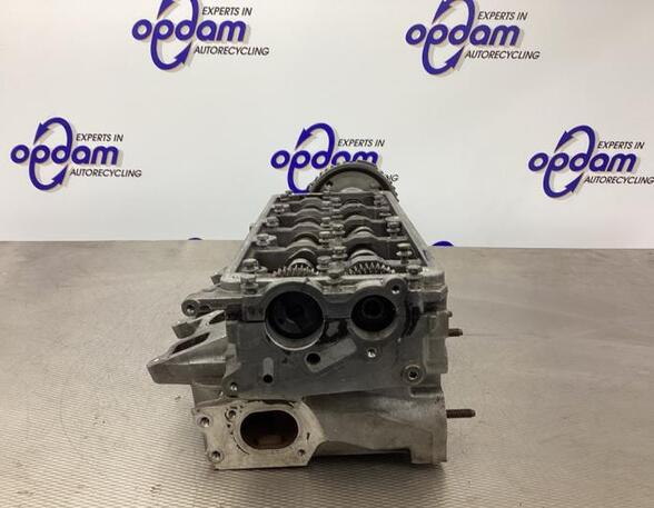 Cylinder Head VW POLO (6R1, 6C1)