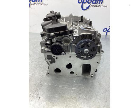 Cylinder Head VW TIGUAN (AD1, AX1), VW TIGUAN ALLSPACE (BW2), AUDI A3 Limousine (8YS)