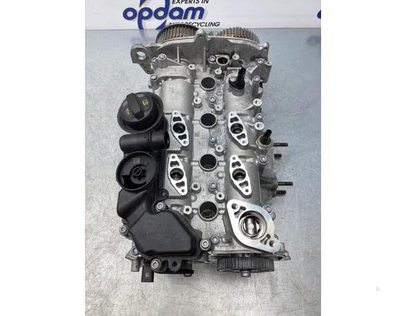 Cylinder Head VW TIGUAN (AD1, AX1), VW TIGUAN ALLSPACE (BW2), AUDI A3 Limousine (8YS)