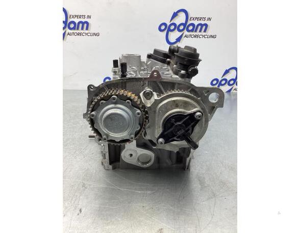 Cylinder Head VW TIGUAN (AD1, AX1), VW TIGUAN ALLSPACE (BW2), AUDI A3 Limousine (8YS)