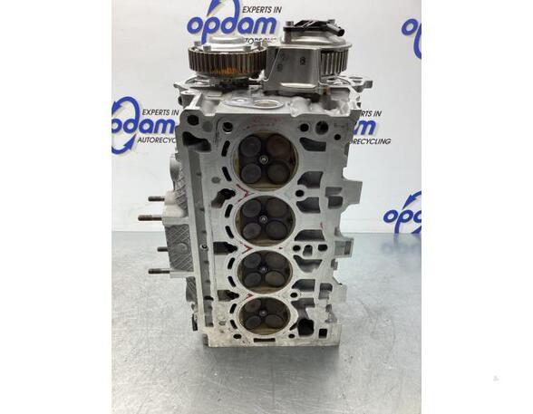 Cylinder Head VW TIGUAN (AD1, AX1), VW TIGUAN ALLSPACE (BW2), AUDI A3 Limousine (8YS)