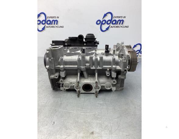 Cylinder Head VW TIGUAN (AD1, AX1), VW TIGUAN ALLSPACE (BW2), AUDI A3 Limousine (8YS)