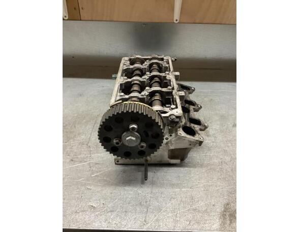 Cylinder Head SKODA FABIA II Combi (545), SKODA ROOMSTER Praktik (5J), VW POLO (6R1, 6C1), VW POLO Van (6R)