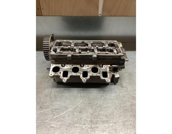 Cylinder Head SKODA FABIA II Combi (545), SKODA ROOMSTER Praktik (5J), VW POLO (6R1, 6C1), VW POLO Van (6R)