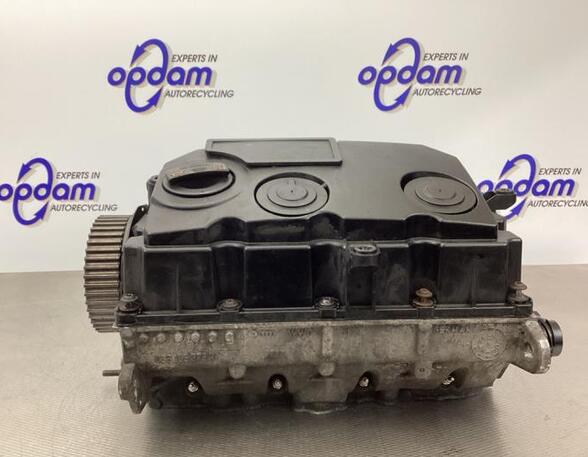 Cylinder Head VW CADDY III Box Body/MPV (2KA, 2KH, 2CA, 2CH)