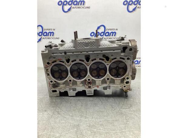 Cylinder Head VW TIGUAN (AD1, AX1), VW TIGUAN ALLSPACE (BW2), AUDI A3 Limousine (8YS)