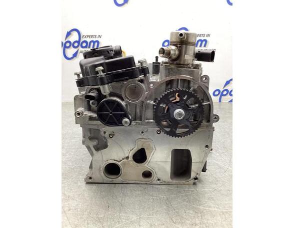 Cylinder Head VW TIGUAN (AD1, AX1), VW TIGUAN ALLSPACE (BW2), AUDI A3 Limousine (8YS)