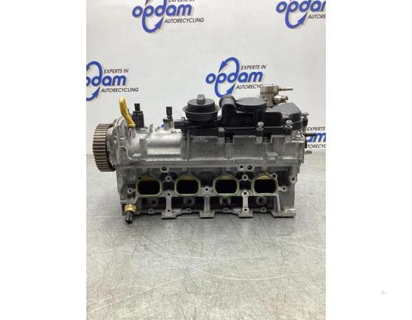 Cylinder Head VW TIGUAN (AD1, AX1), VW TIGUAN ALLSPACE (BW2), AUDI A3 Limousine (8YS)