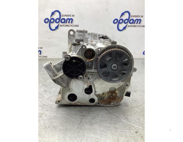 Cylinder Head VW POLO (6R1, 6C1)