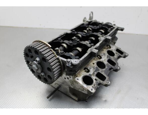 Cylinder Head SKODA FABIA II Combi (545), SKODA ROOMSTER Praktik (5J), VW POLO (6R1, 6C1), VW POLO Van (6R)