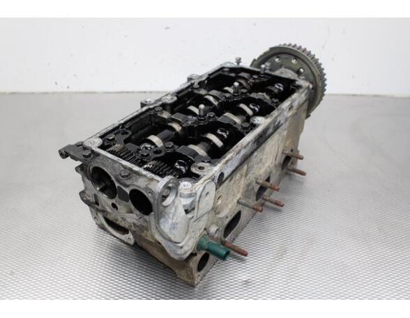 Cylinder Head SKODA FABIA II Combi (545), SKODA ROOMSTER Praktik (5J), VW POLO (6R1, 6C1), VW POLO Van (6R)