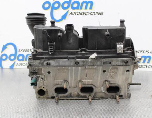 Cylinder Head SKODA FABIA II Combi (545), SKODA ROOMSTER Praktik (5J), VW POLO (6R1, 6C1), VW POLO Van (6R)