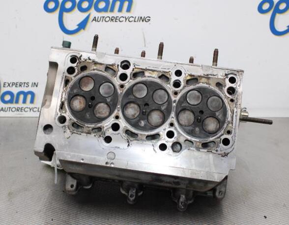 Cylinder Head SKODA FABIA II Combi (545), SKODA ROOMSTER Praktik (5J), VW POLO (6R1, 6C1), VW POLO Van (6R)