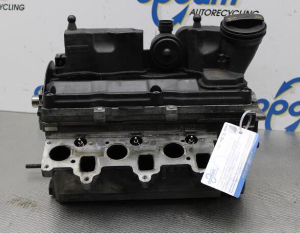 Cylinder Head SKODA FABIA II Combi (545), SKODA ROOMSTER Praktik (5J), VW POLO (6R1, 6C1), VW POLO Van (6R)