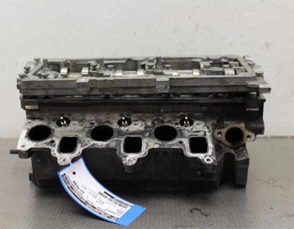 Cylinder Head SKODA FABIA II Combi (545), SKODA ROOMSTER Praktik (5J), VW POLO (6R1, 6C1), VW POLO Van (6R)