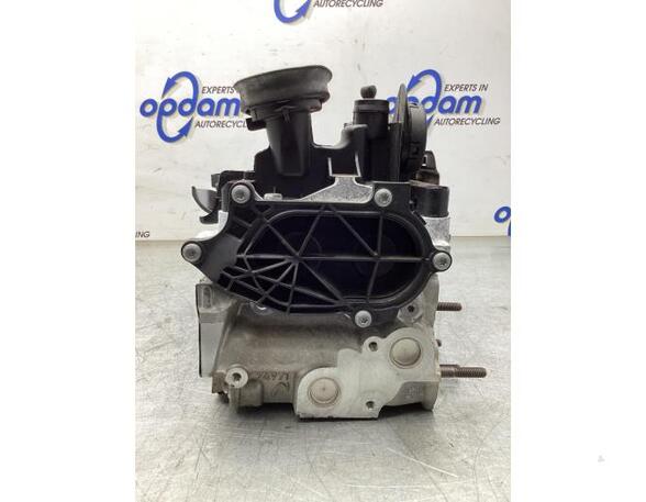 Cylinder Head VW CADDY V Box Body/MPV (SBA, SBH)