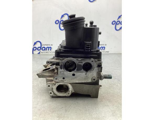 Cylinder Head VW POLO (6R1, 6C1), VW POLO Van (6R), SKODA FABIA II Combi (545), SKODA ROOMSTER Praktik (5J)