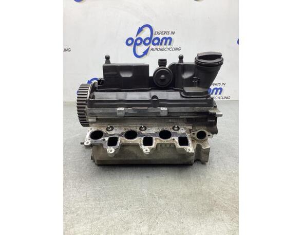 Cylinder Head VW POLO (6R1, 6C1), VW POLO Van (6R), SKODA FABIA II Combi (545), SKODA ROOMSTER Praktik (5J)