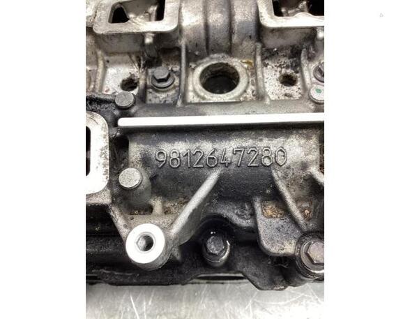 Cylinder Head FORD TOURNEO CONNECT / GRAND TOURNEO CONNECT V408 MPV, FORD TRANSIT CONNECT MPV