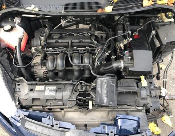 Bare Engine FORD FIESTA VI (CB1, CCN)