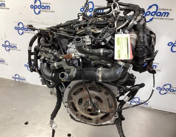 Bare Engine AUDI A4 (8K2, B8), AUDI A4 (8W2, 8WC, B9)