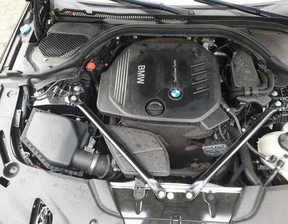 Bare Engine BMW 5 (G30, F90)