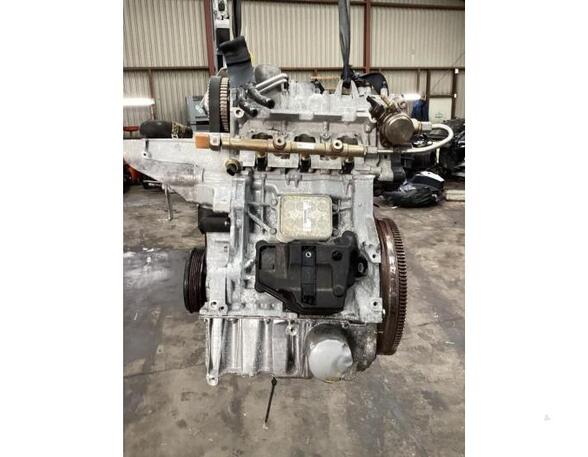 Bare Engine SKODA RAPID (NH3, NK3, NK6)