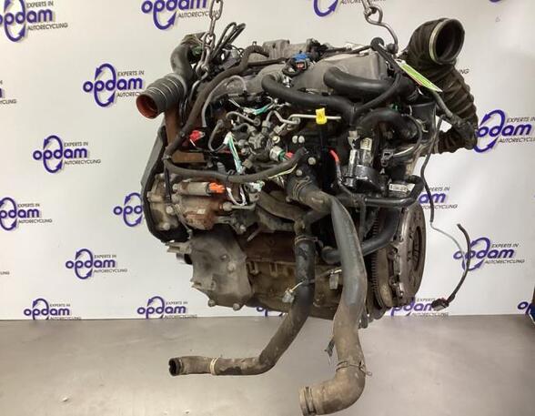 Motor kaal FORD TRANSIT CONNECT (P65_, P70_, P80_)