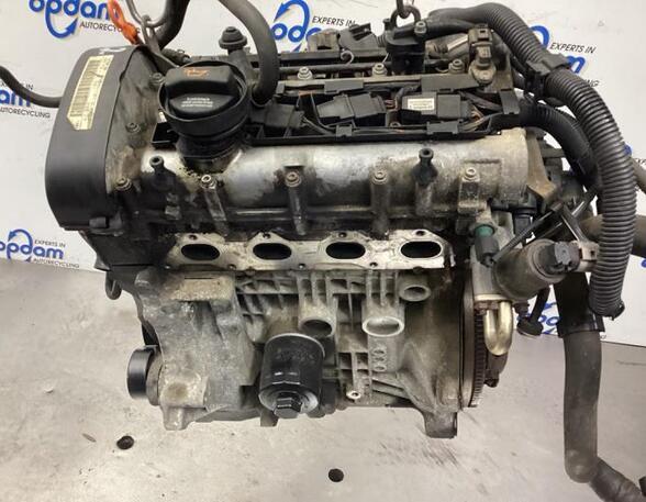 Motor kaal SEAT IBIZA III (6L1)